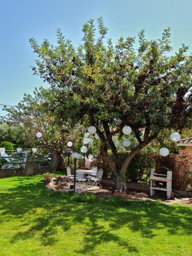 Casa vacanze 'Sa Corbula' Porto Columbu - Perd'E Sali Exterior foto